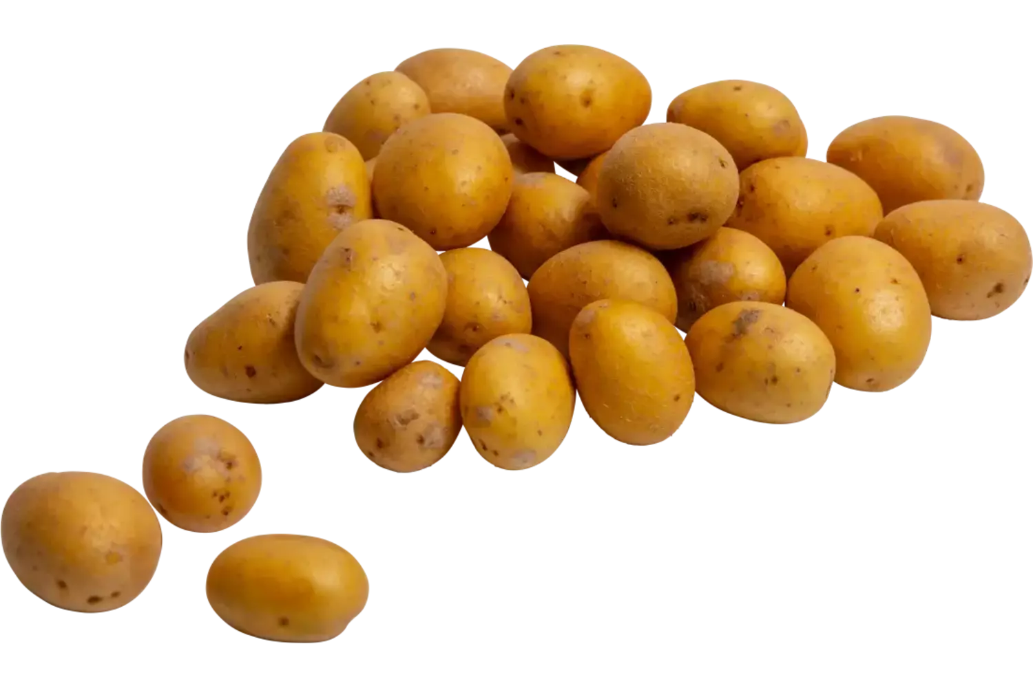 Kriel aardappelen gewassen